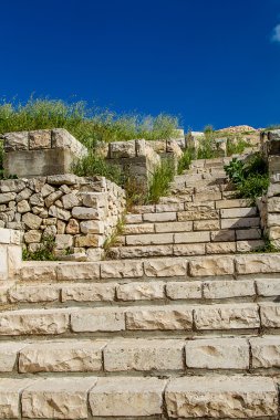 Taş merdiven ve çayır bitkileri