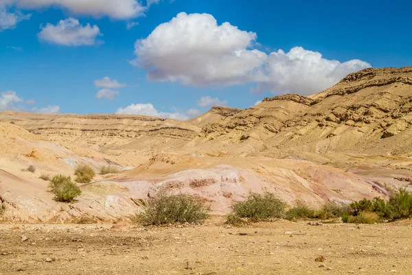 Έρημο negev — Φωτογραφία Αρχείου