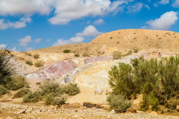 Die Wüste Negev — Stockfoto