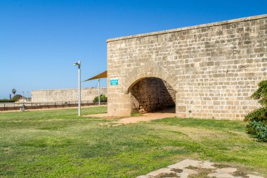 Sur yapıları IFF, İsrail