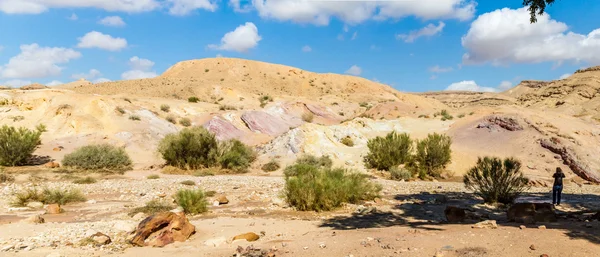 Die Wüste Negev — Stockfoto