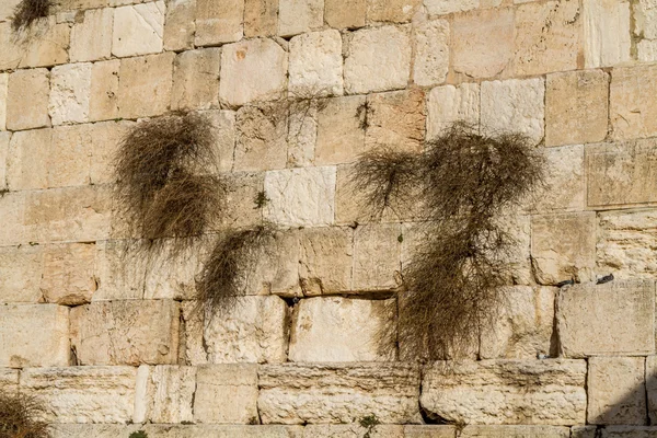 Muro Occidental en Jerusalén, Israel — Foto de Stock