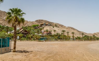 Beach of Eilat city, Red Sea, Israel clipart