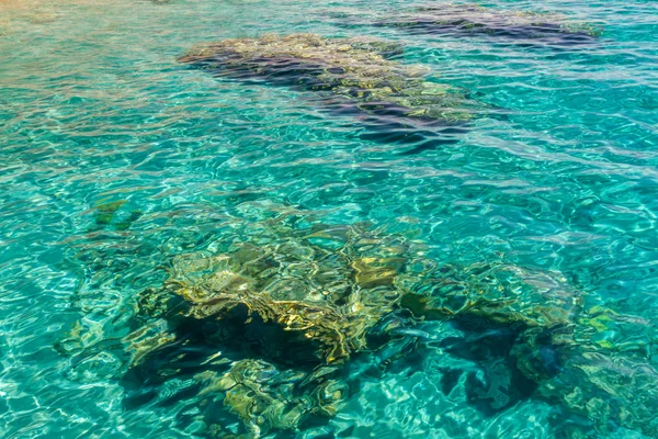 Underwater stones in the Red Sea