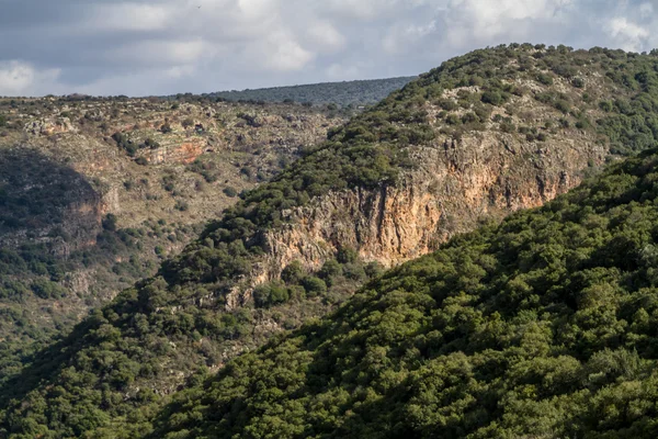 Paisaje montañoso, Alta Galilea en Israel — Foto de Stock