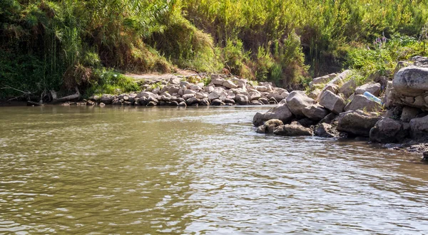 Bushes along the banks, Jordan River — Stock Photo, Image