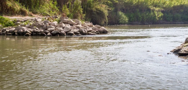 Втулки на берегах річки Йордан — стокове фото