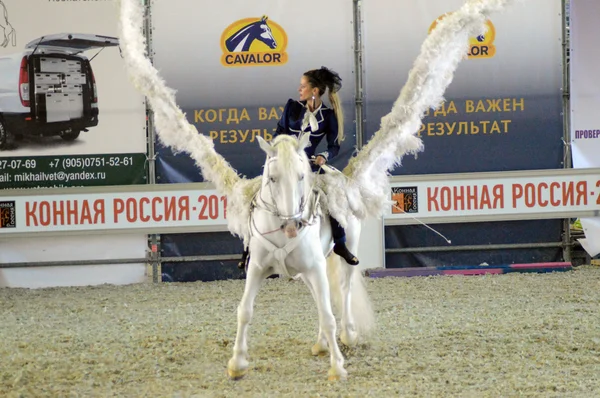 International Horse Show. Female rider on a white horse. Pegasus. White Wings Woman jockey in blue dress September 2014