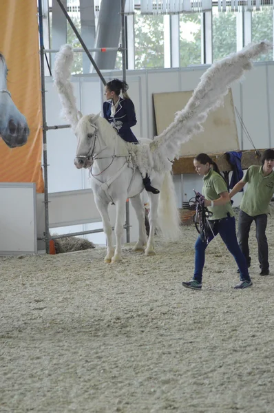 Pegaso. Salone Internazionale del Cavallo. Cavaliere donna su un cavallo bianco. Ali bianche — Foto Stock