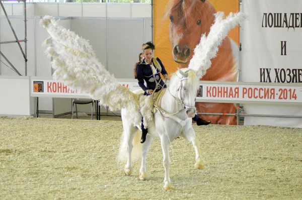 Pegaso Moscú Exposición Internacional de Caballos Imagen De Stock