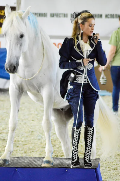 Esposizione equestre internazionale Donna fantino e cavallo bianco. Durante lo spettacolo . — Foto Stock