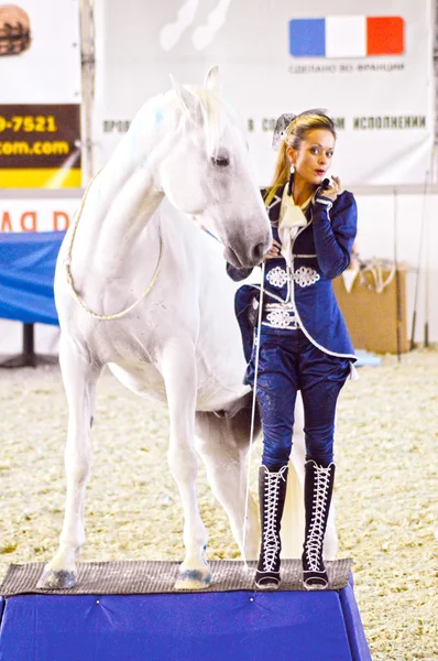 Ridding Hall Splendidamente Donna Fantino Abito Blu Scuro Vicino Cavallo — Foto Stock