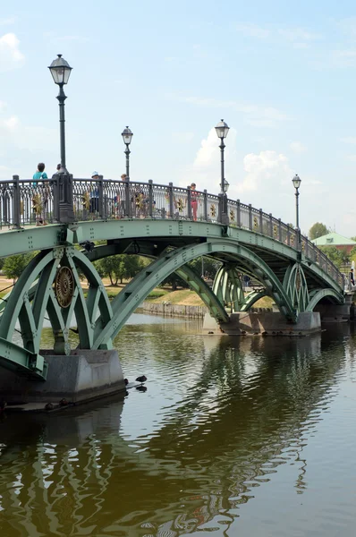 Park Tsaritsyno bron över floden ficklampor — Stockfoto