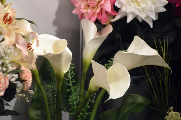 White cala lilies — Stock Photo, Image