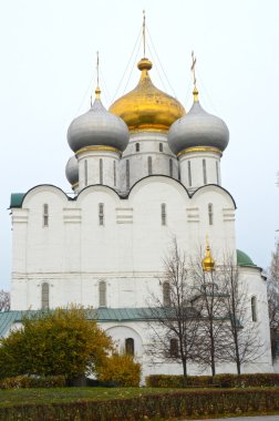 Katedral kilise Tanrı'nın Moskova anası Smolensk simgesinin