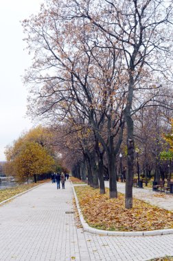 Sonbahar manzara. Sonbahar park. Akşam