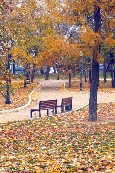 Jesienny Krajobraz Jesienny Park Jesienne Liście — Zdjęcie stockowe