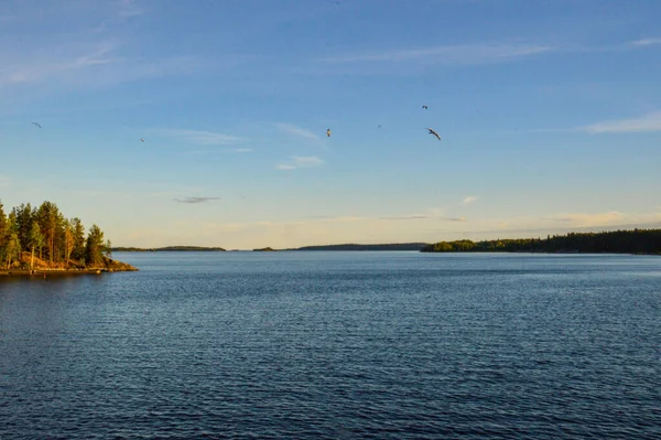 Coucher Soleil Calme Sur Lac Ladoga Ciel Clair Avec Une — Photo