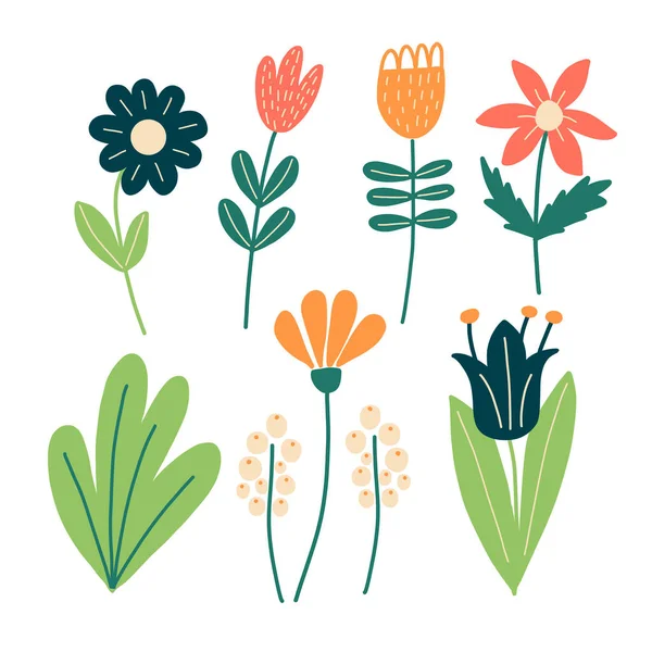 Conjunto de flores lacónicas en estilo escandinavo — Vector de stock