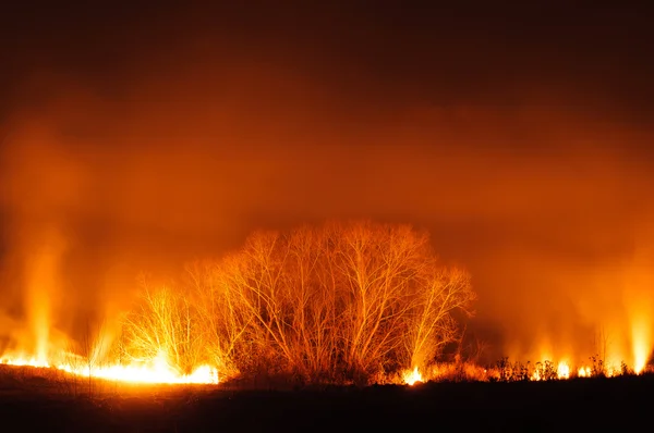 Campo de fuego naranja resplandor contra el cielo negro — Foto de Stock