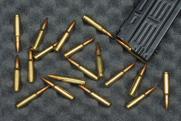 Ammunition (bullets) and the weapon holder — Stock Photo, Image