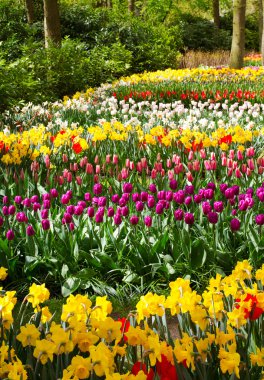 Renkli lale, gül, nergis, sümbül, lily, ortanca, muscari çiçekler vazoda Bahar park arka plan üzerinde