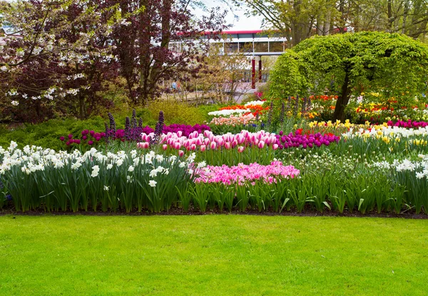 Цветные тюльпаны, розы, нарциссы, гиацинты, лилии, гортензии, мускари цветы в вазе на фоне весеннего парка — стоковое фото