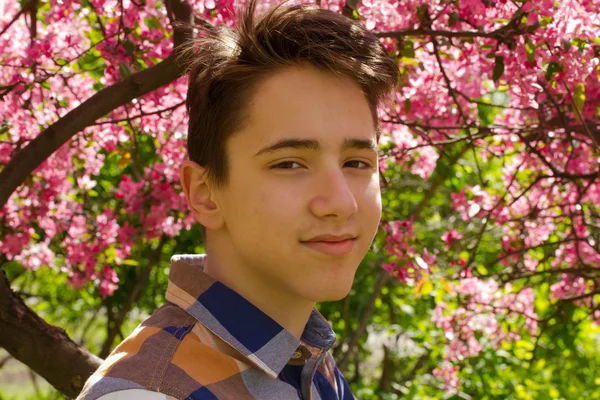 Utanför porträtt av teen pojke. Vacker tonåring i sakura park — Stockfoto