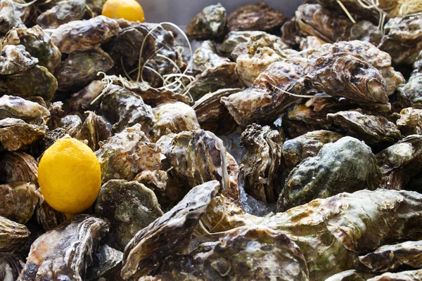 Oysters and lemon. Street food — Stock Photo, Image