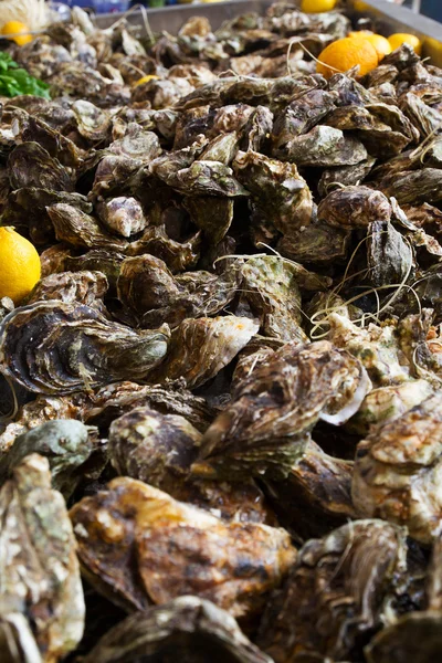 Oysters and lemon. Street food — Stock Photo, Image