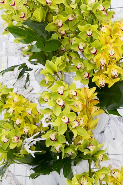 Colorful flowers outside — Stock Photo, Image