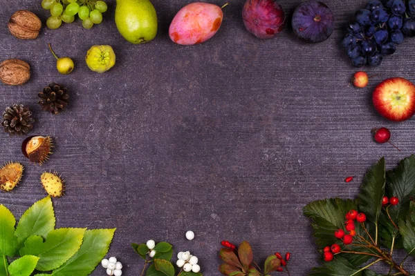 Druif, vijgen, pruimen, appels, peren, bessen en bladeren — Stockfoto