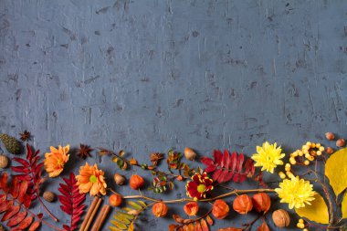 Güz yaprakları, balkabağı, kozalak ve gri arka planda fotokopi alanı olan çiçekler. Şükran Günü konsepti Düz yatış, düzen, metin için yer