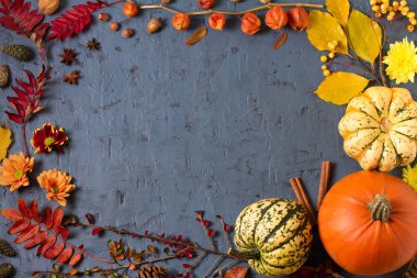 Güz yaprakları, balkabağı, kozalak ve gri arka planda fotokopi alanı olan çiçekler. Şükran Günü konsepti Düz yatış, düzen, metin için yer