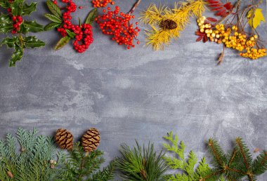 Şükran Günü Noel Sonbahar Kış Arkaplanı. Düz yatış, düzen, metin için yer