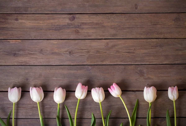 Spring Tulip Flower Composition Wooden Background Overhead View — Stock Photo, Image