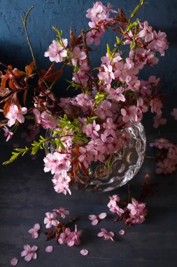 Vazoda çiçek açan kiraz ağacı dalları. Çiçek açan bahar çiçekleri. Yukarıdaki dikey fotoğraf