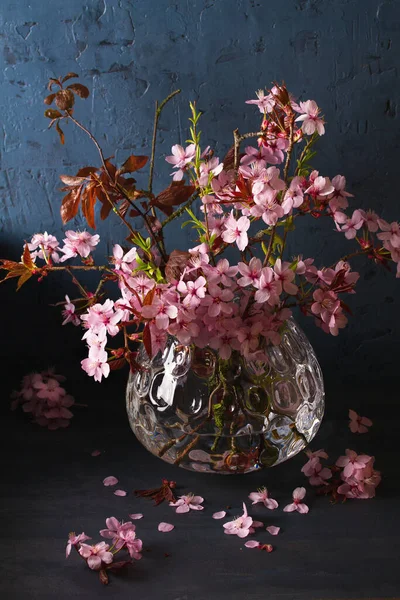 Floração Ramos Cerejeira Vaso Flores Primavera Florescentes — Fotografia de Stock