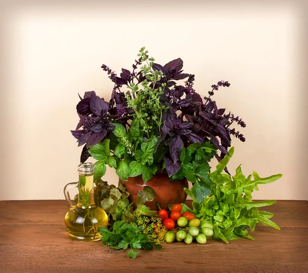 Belle nature morte avec basilic, céleri, aneth, marjolaine, persil, laitue et tomates cerise sur fond de bois — Photo