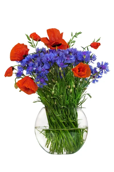 Bouquet of wildflowers — Stock Photo, Image