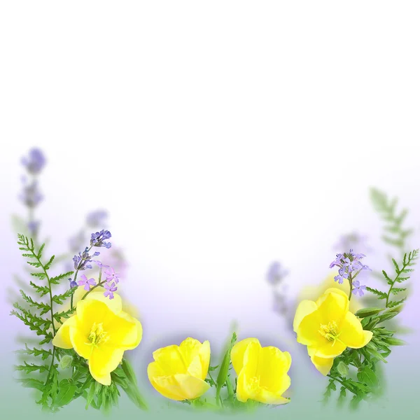 Blumen Hintergrund als Urlaub Postkarte Design — Stockfoto