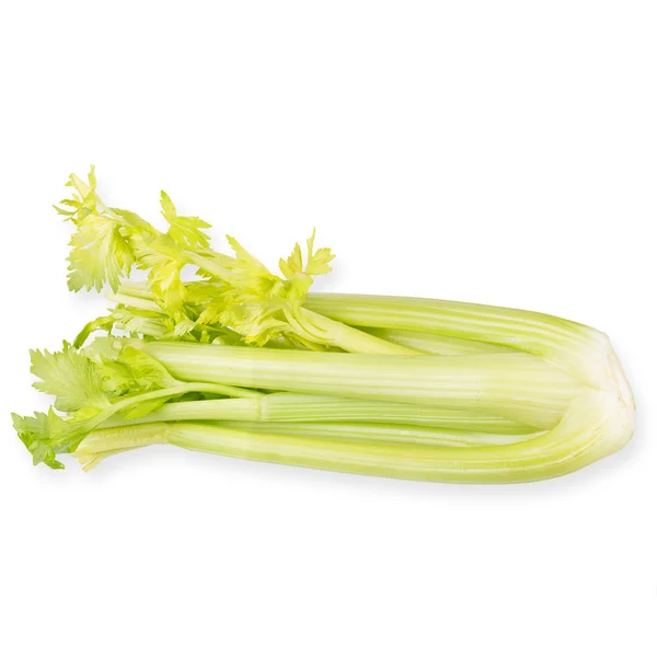 有机蔬菜-芹菜叶，白色背景上孤立 — 图库照片