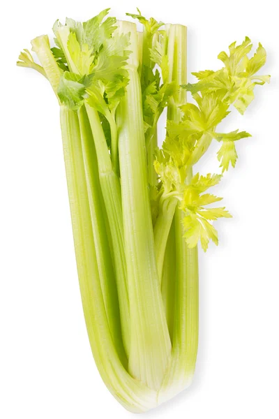 Organic vegetables - celery with leaves, isolated on white background — Stock Photo, Image