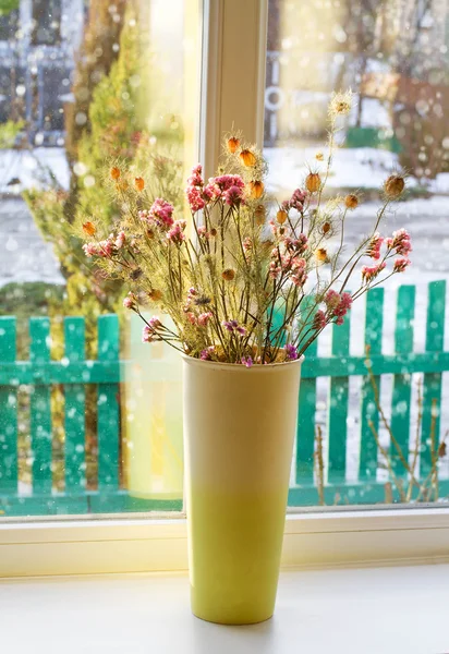 Dried flowers in a vase on a window against winter background — Stock Photo, Image