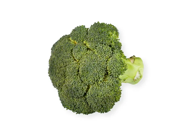 Broccoli plantaardige geïsoleerd op witte achtergrond — Stockfoto