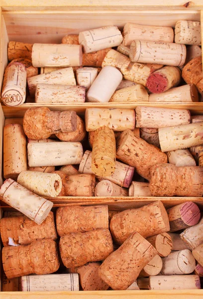 Colección de tapones de vino en caja de madera — Foto de Stock