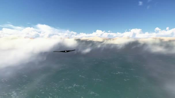 B-2 spirit Stealth — Wideo stockowe