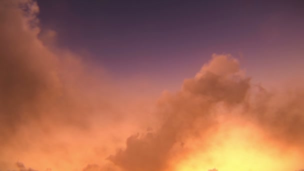 Dawn dusk içinde uçan uçak — Stok video
