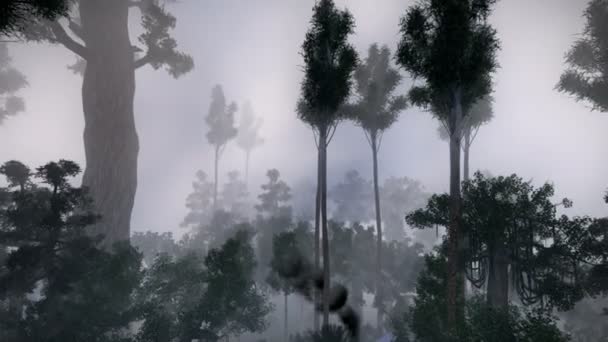 Accident d'avion dans la jungle 