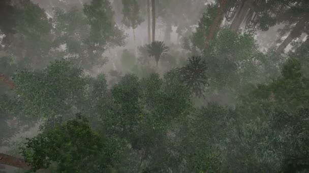 Survoler les arbres — Video